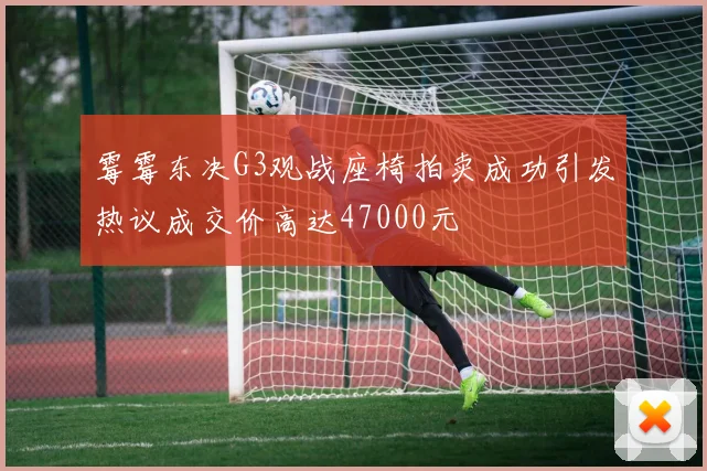 霉霉东决G3观战座椅拍卖成功引发热议成交价高达47000元