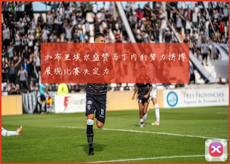 加布里埃尔盛赞马丁内利努力拼搏展现比赛决定力